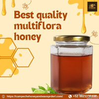 Best Quality Multiflora Honey