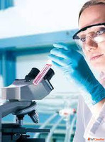 Cicletanine Hydrochloride Manufacturer In India