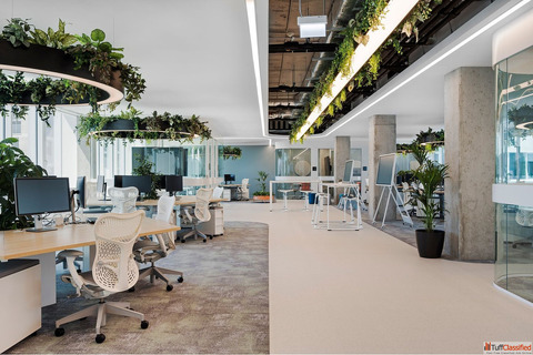 Experienced Commercial Interior Designers Available in Amritsar