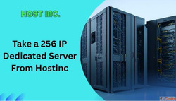 Take a 256 IP Dedicated Server From Hostinc