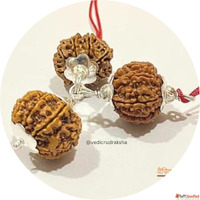 Embrace Spiritual Energy- Buy Natural Rudraksha Beads Online