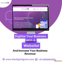 Best Digital Marketing Company in Odisha - The Digital Gems