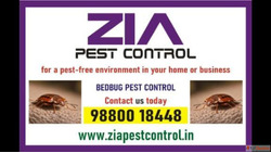 Bed Bugs Control Bed Bugs Services near me bed bugs Treatmen...
