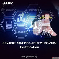 Advance Your HR Career with CHRO Certification