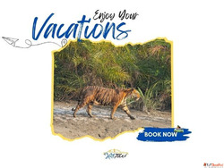 Kolkata to Sundarban by Cab
