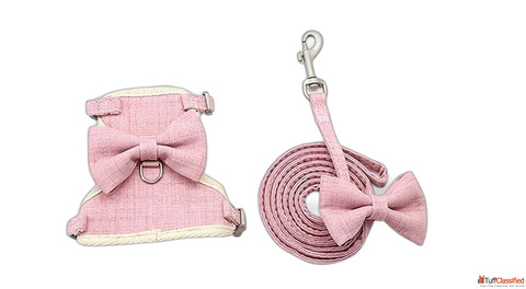 Buy Dog Neck Belts Online - Premium Dog Collars at Krazzy Pets