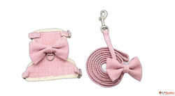 Buy Dog Neck Belts Online - Premium Dog Collars at Krazzy Pe...