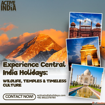 Experience Central India Holidays Wildlife Temples Timeless Culture