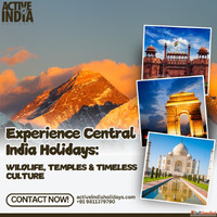Experience Central India Holidays Wildlife Temples Timeless ...