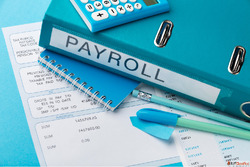 Professional Payroll Management Services - HR India Solution...