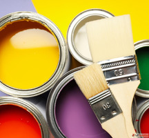 Transform Your Space with NEO Paints - The Leading NPC Compa...