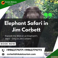 Explore the Wilderness with Jim Corbett Wildlife Safari Pack...