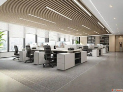 Functional Elegant Corporate Office Interior