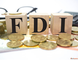 Foreign Direct Investment FDI