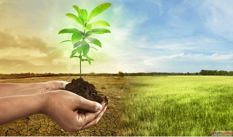 Types of Soil in India A Guide for Smarter Farming