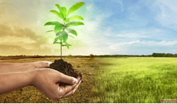 Types of Soil in India A Guide for Smarter Farming
