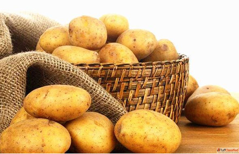 Fresh Potato Suppliers in India