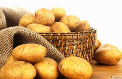 Fresh Potato Suppliers in India