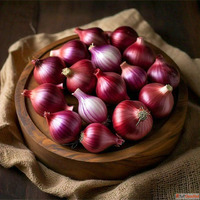 Fresh Onion Suppliers in India
