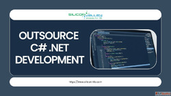 Dot Net Software Development India C .Net Development Compan...