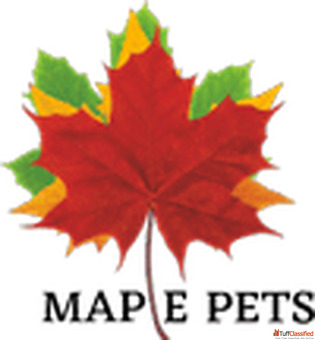 Maplepets Hagen Pet Product Pet shop Pet store and Pet Food