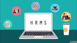 Best HR Software in India - Streamline Your HR Operations wi...