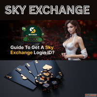 Skyexchange