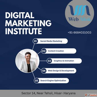 Advanced Digital marketing Course in Hisar Webmok