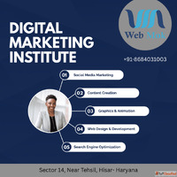Advanced Digital marketing Course in Hisar Webmok