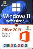 Elevate Your Office Setup with Windows 10 Pro Office 2019