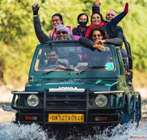 Experience the Wild with Jhirna Zone Safari Booking at Jim C...