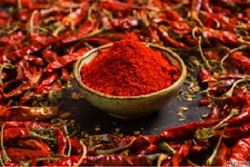 Red Chilli Powder Suppliers in Surat