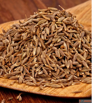Cumin Seed Suppliers in Rajkot