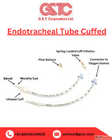 Medical-Grade Endotracheal Tube Cuffed for Ventilation