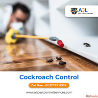 Pest Control Services in Kondapur