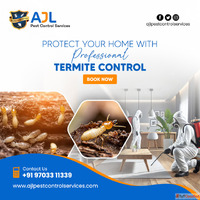 Pest Control Services in Jubilee hills