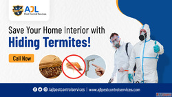 Pest Control Services in Banjara hills