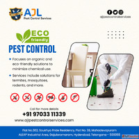 Pest Control Services in Hitech city