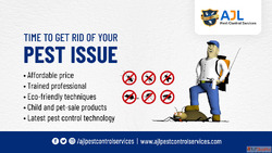 Pest Control Services in Nallagandla
