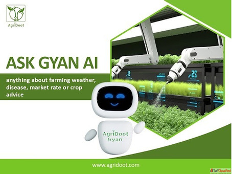 Boost Crop Yield with GYAN-AI Farming Assistant in India