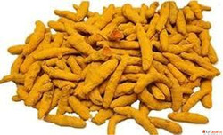 Organic Turmeric Traders in Sangli