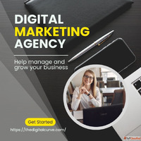 Best SEO Company in Ghaziabad