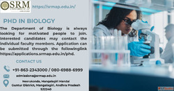 PhD in Biology Career Scope and Opportunities