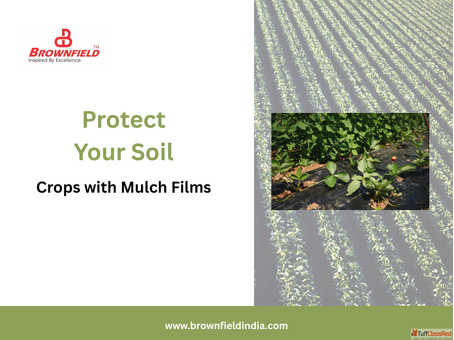 Mulch Film Manufacturing Process in Indore - Learn More
