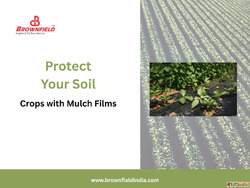 Mulch Film Manufacturing Process in Indore - Learn More
