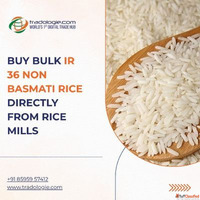 Buy Bulk IR 36 Non Basmati Rice Directly From Rice Mills