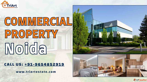 Commercial Property in Noida