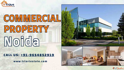 Commercial Property in Noida