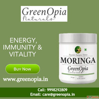 Buy Moringa Powder Online at Best Price in India Greenopia