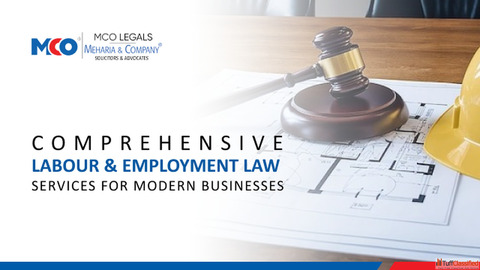 Comprehensive Labour Employment Law Services for Modern Businesses